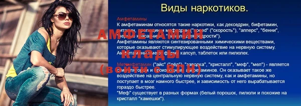 ПСИЛОЦИБИНОВЫЕ ГРИБЫ Абаза