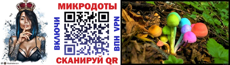 Псилоцибиновые грибы Psilocybe  Ирбит 